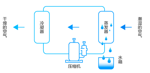 工業(yè)除濕機(jī)的工作原理與應(yīng)用場(chǎng)合
